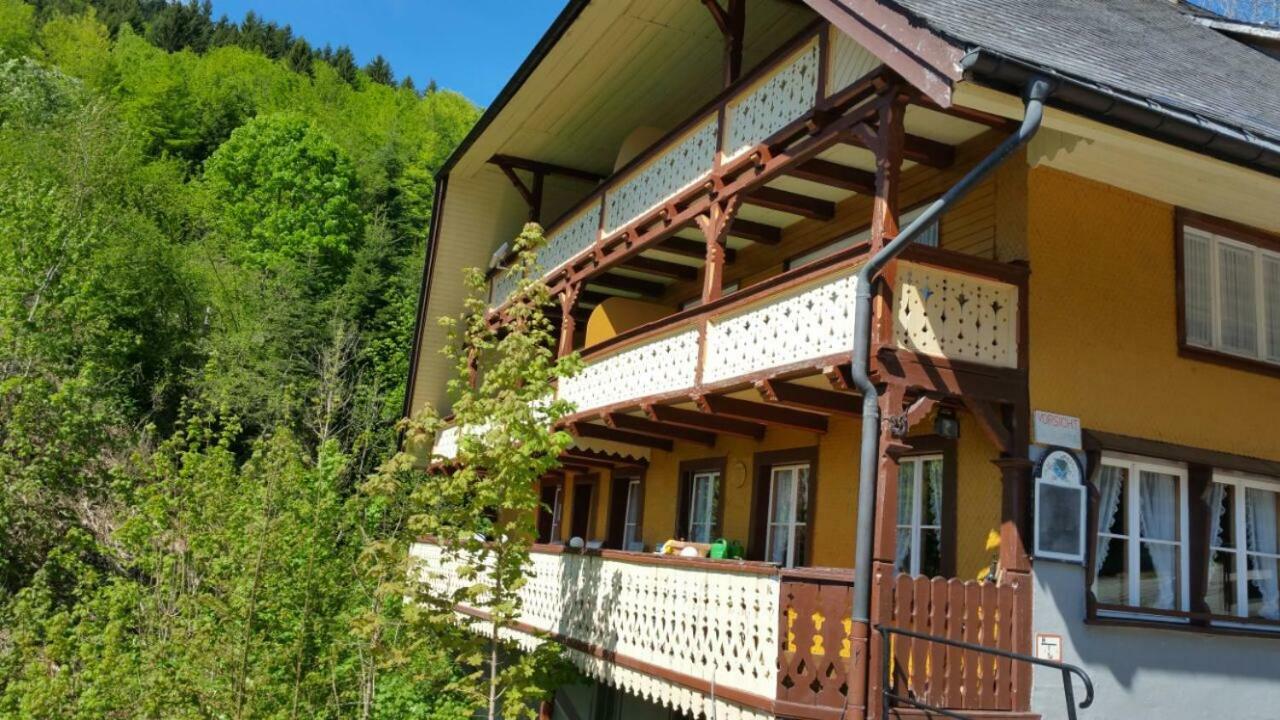 Antico Mulino Pension & Ristorante Todtmoos Hotel Екстериор снимка